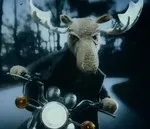 La playlist de la semaine #56