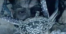 Les clips de la semaine: Mazes, The Raveonettes, Dog Bite, Blood Red Shoes, MØ