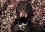 Les clips de la semaine: Arctic Monkeys, Girls In Hawaii, Future Islands, Camera Obscura, Mount Kimbie