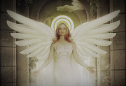 Les clips de la semaine: Moby, Ben Harper, Beady Eye, The Wombats et Lol Boyz