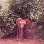 La playlist de la semaine #17