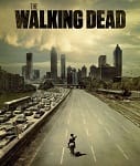 The Walking Dead: Un aperçu de Michonne